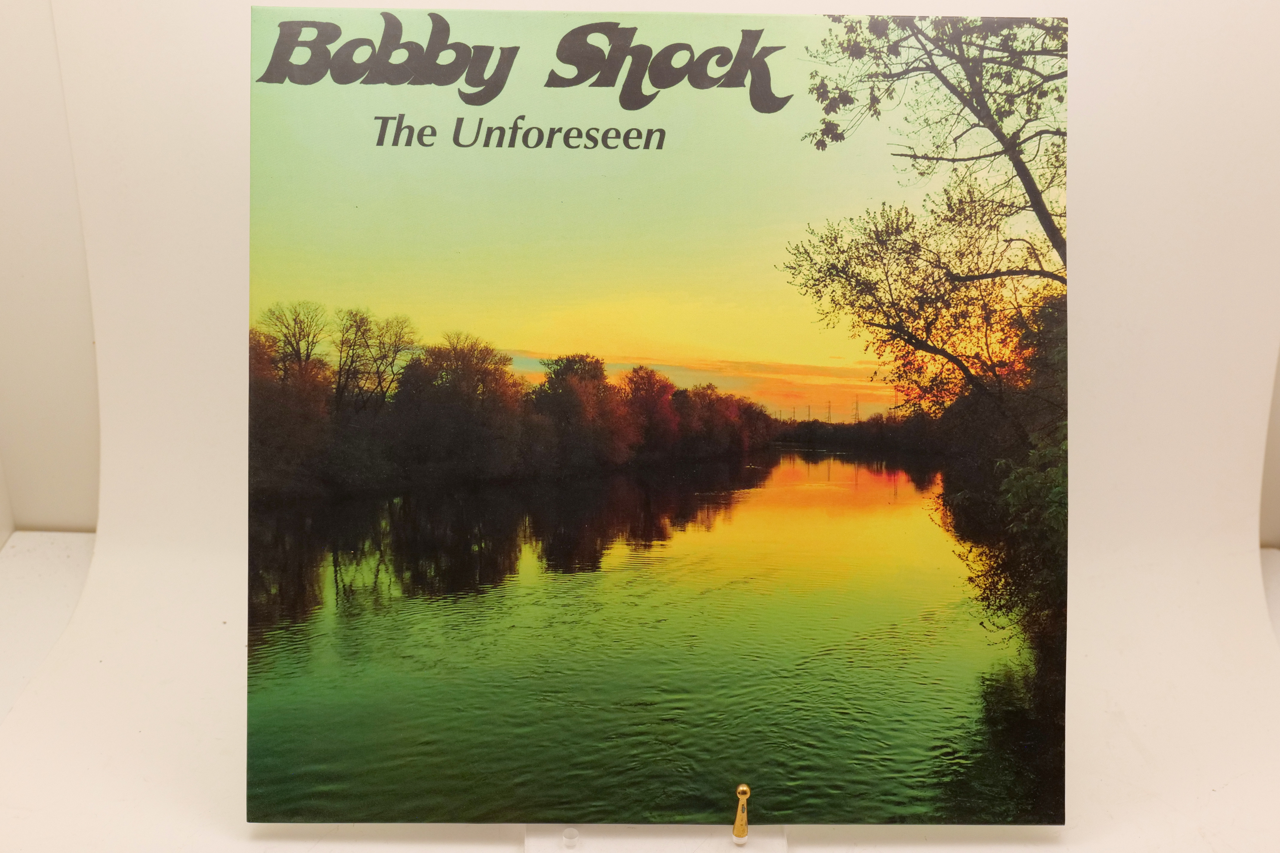 Bobby Shock The Unforeseen LP BSU007-A 2020 Indie Rock Vinyl